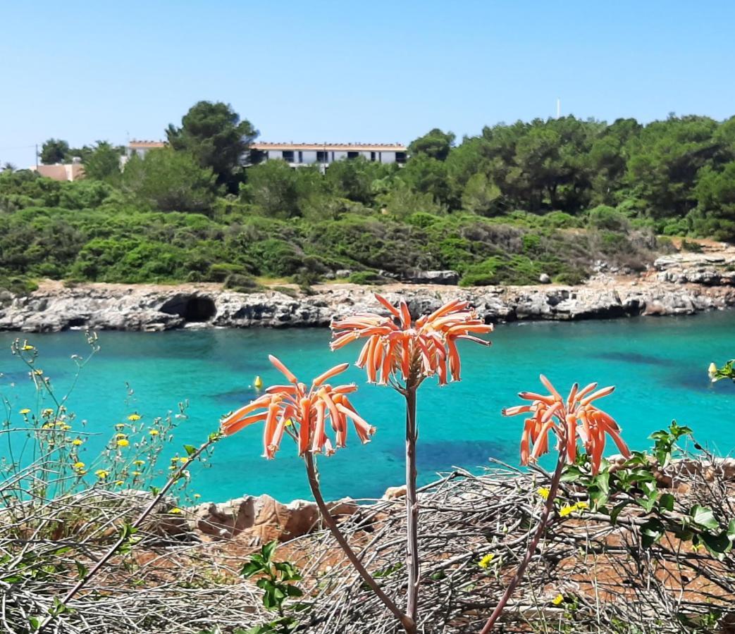 Atico Playa Santandria Con Piscina Y Wifi Villa Ciutadella  Eksteriør bilde